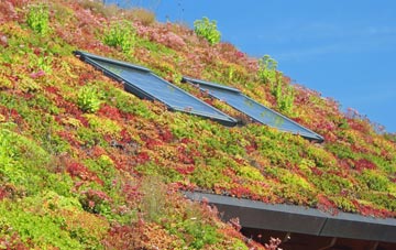 Fothergill living roof systems